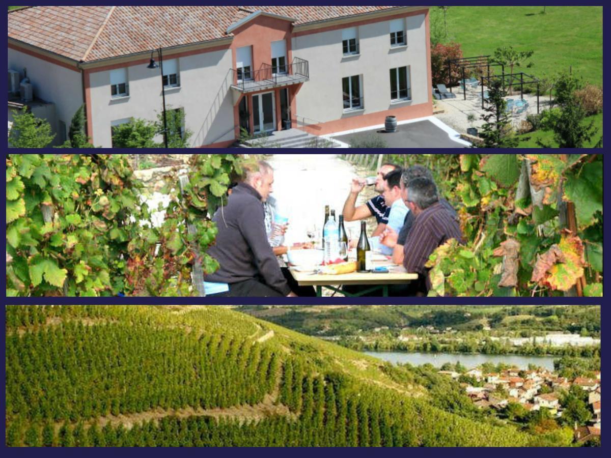 Hôtel Le Domaine des Vignes Ampuis Lyon Sud Vienne Exterior foto